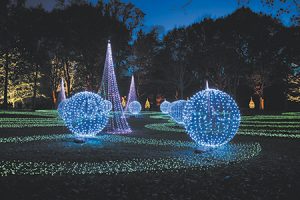 ae-ima-holiday-lights-grounds-450bp.jpg