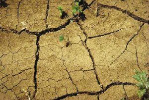 More than 80 percent of Indiana is in severe drought.
