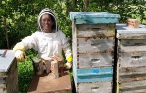 Ellie Symes beekeeping 500 px