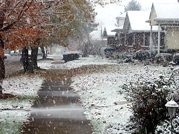 Snow on Cameron Street - horizontal - 2 col