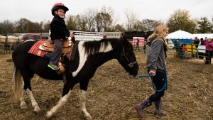 : Pony rides heighten the day's excitement for some of the youngest passengers.