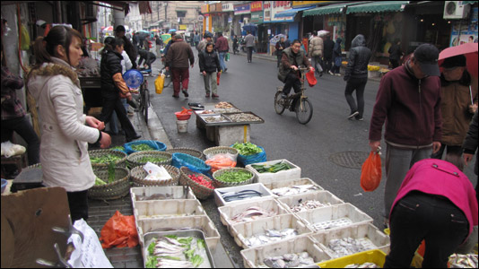 Fresh fish abound at a street market a few blocks from a touristy section of Shanghai.