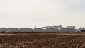 Beck's is firmly planted along 276th Street between U.S. 31 and State Road 19. It produces, processes and distributes products for customers in portions of eight states.
