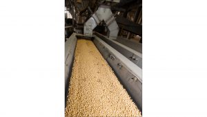 Soybeans and other seeds are cleaned and sorted before being treated and bagged in Beck's two processing towers. A third tower is planned as part of the company's upcoming expansion.