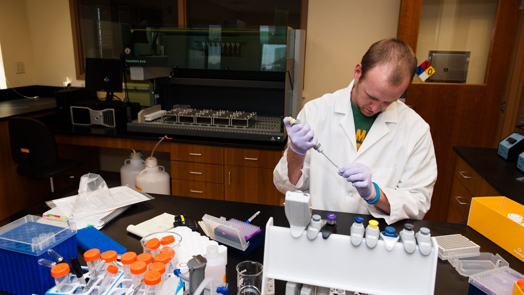 Genome lab employee James Walsh tests samples of plant materials to make sure they have the characteristics Beck's corn breeders are seeking.