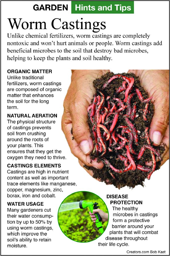 Gardening Worm castings make it difficult to walk in yard