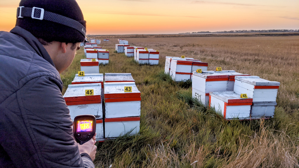 Ag firm creates big buzz with bee hive tech