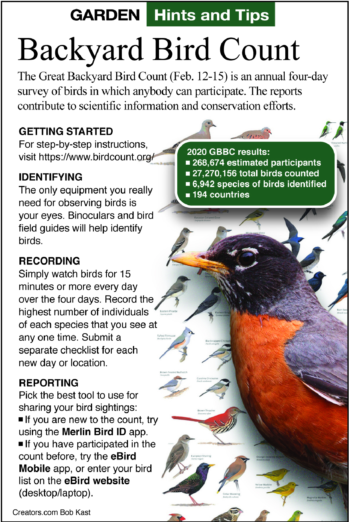 February is National BirdFeeding Month Indianapolis Business Journal