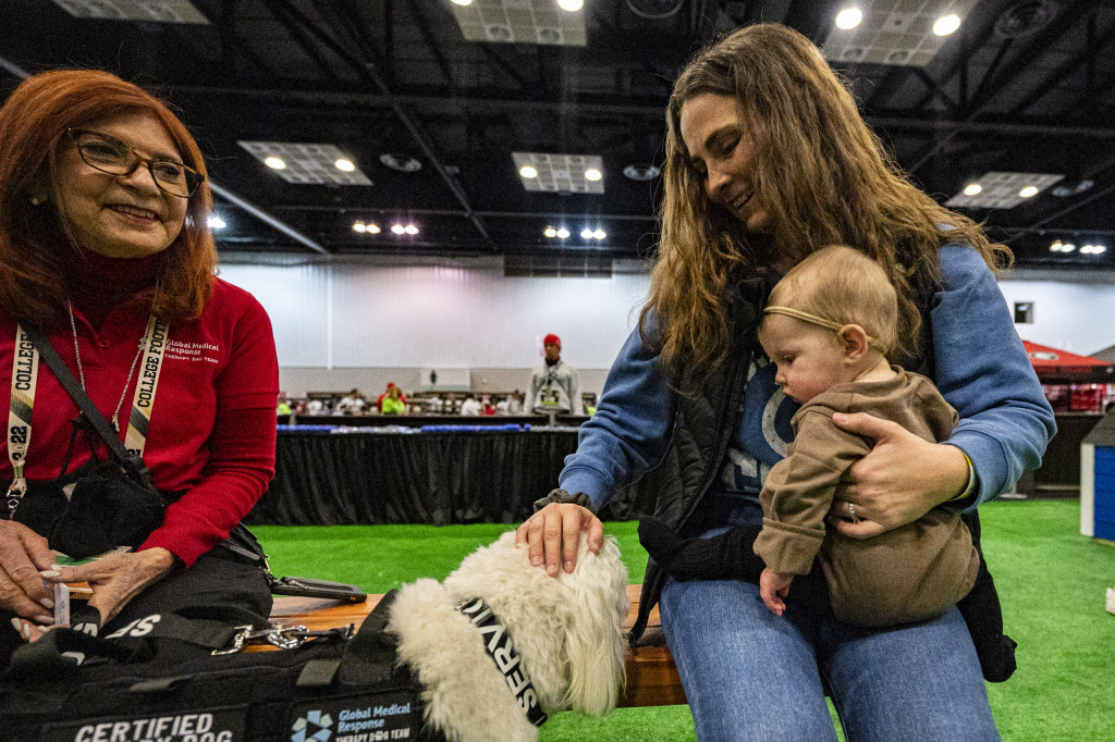 Playoff Fan Central open Saturday through Monday at convention center –  Indianapolis Business Journal