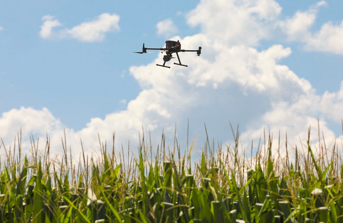 Drone assisted deals crop monitoring