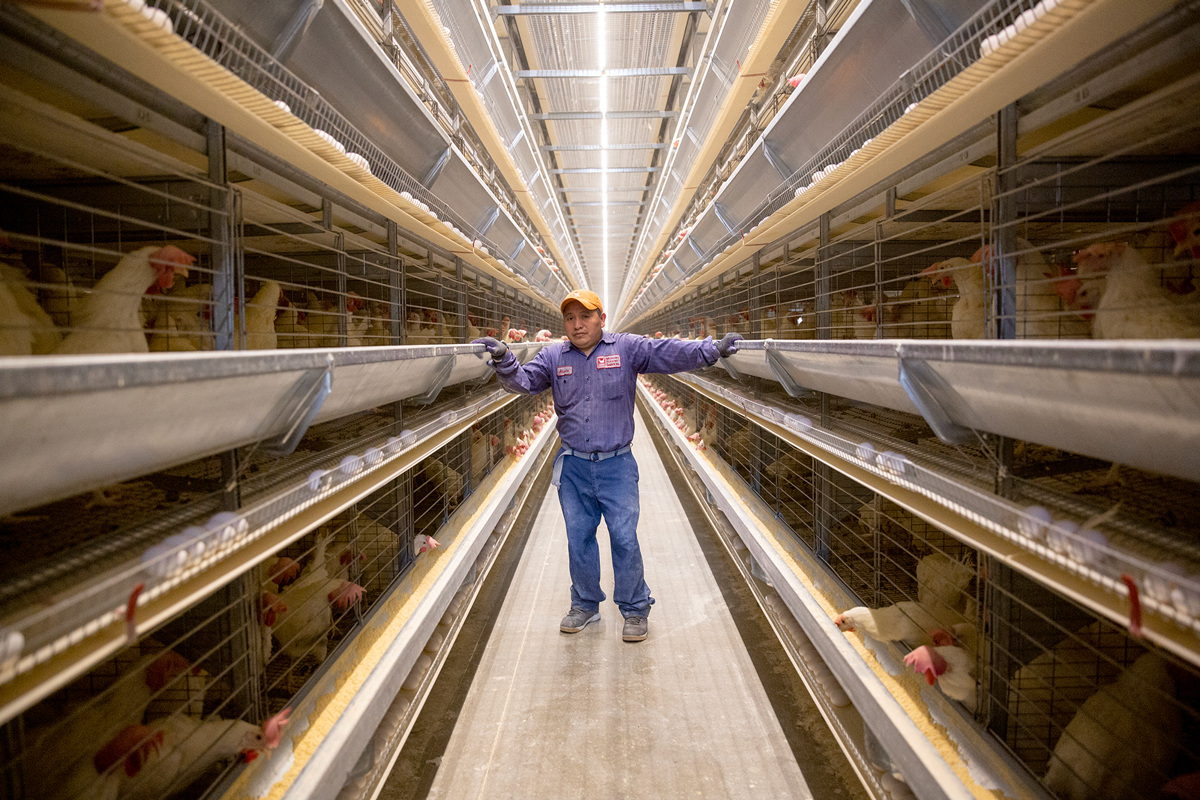 MPS offers first carbonneutral eggs for U.S. consumer market