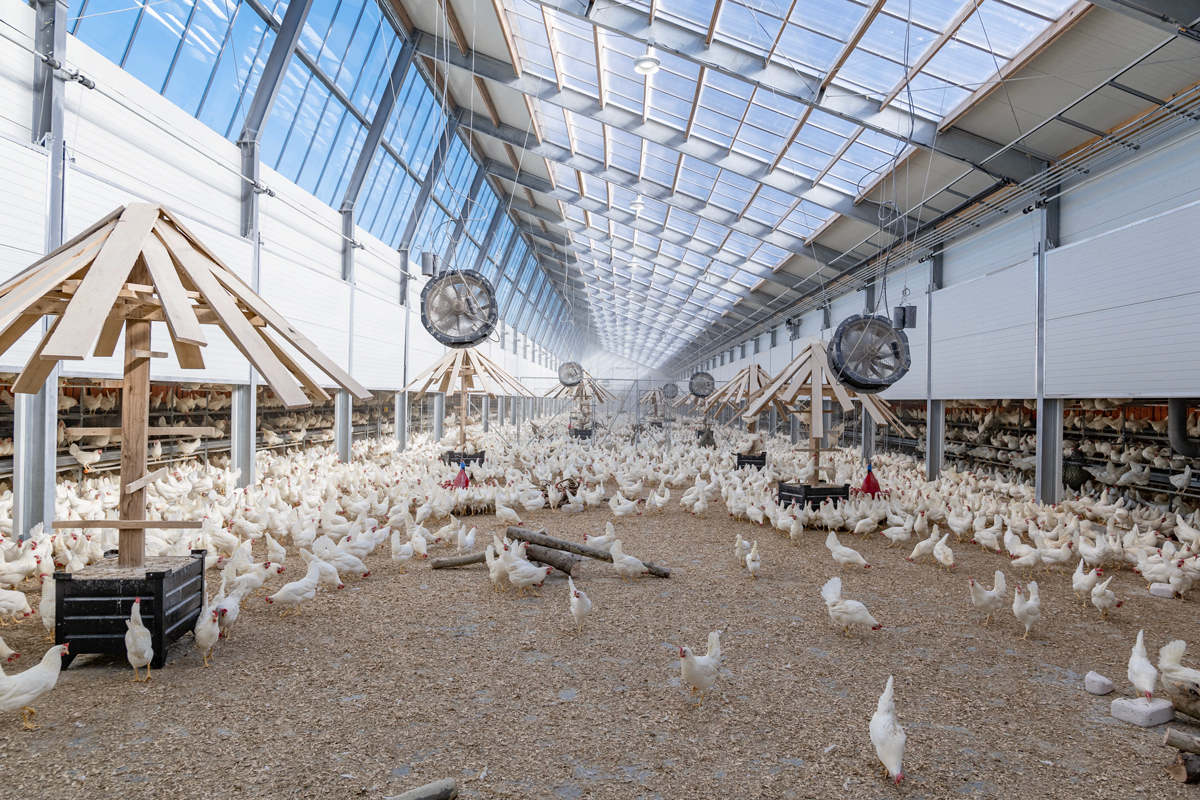 MPS offers first carbonneutral eggs for U.S. consumer market