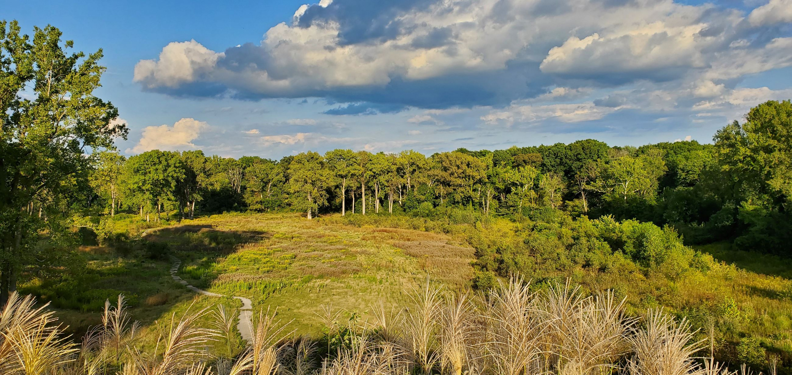 Zionsville to develop nature preserve at former Wolf Run Golf Course