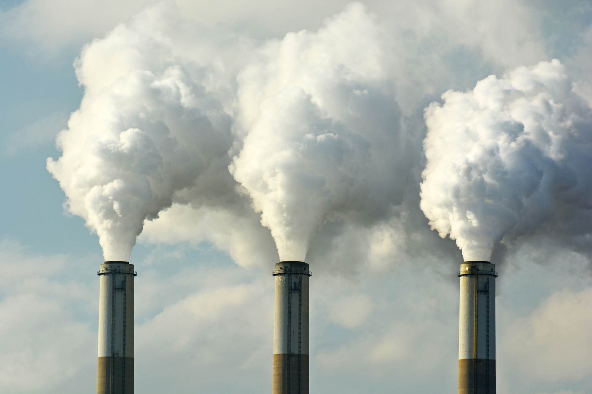 Carbon removal industry calls on U.S. government for regulation