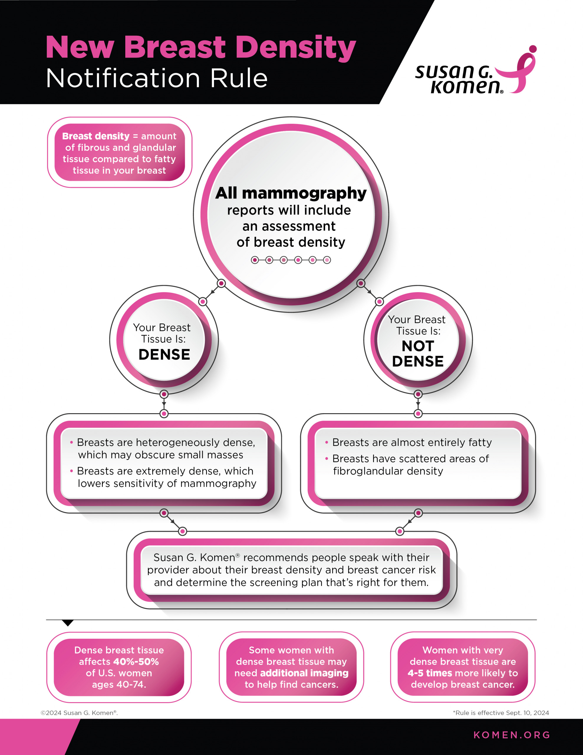 An infographic from Susan G Komen explaining information about breast density