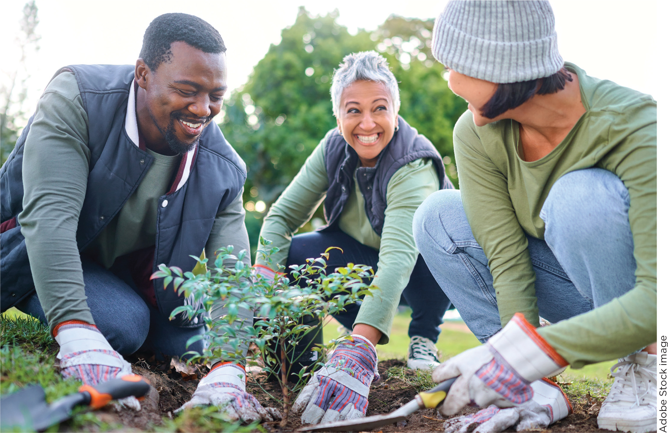 A smiling trio crouches down planting a tree sapling in the ground