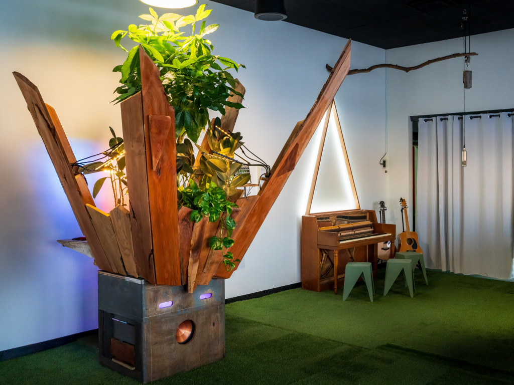 Church of Noise gallery unites visual art, music and sensitive plants