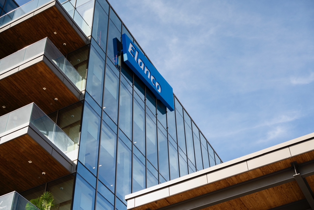 Elanco launches $25M VC program to invest in animal health innovation