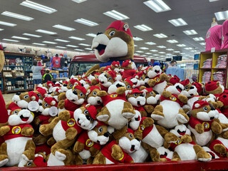 IBJ Podcast: Buc-ee’s, Wally’s and Wawa converge on Indy as convenience stores become cultural forces