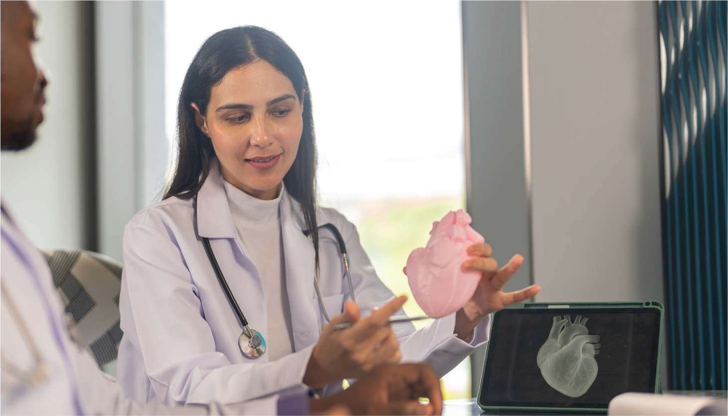 A woman in a lab coat points to a model of a human heart while speaking to a coworker.