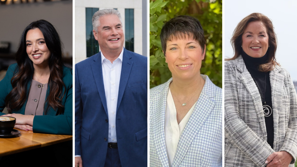 Senate District 31 candidates say voters want ‘common-sense,’ ‘middle ...